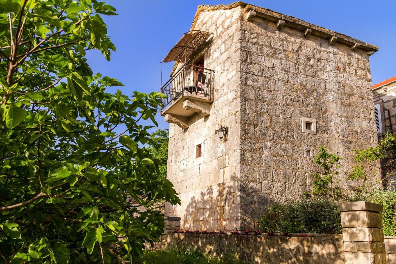 Old Small Stone House Apartment Zrnovo